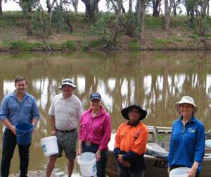 Macquarie River is restocked with native fingerlings